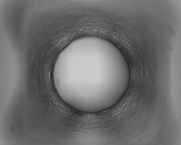 X0000114511489200910190918