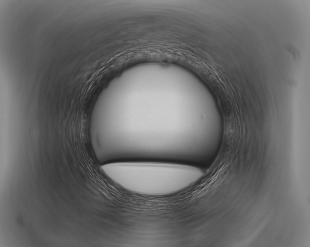 X0000114511490200910190918