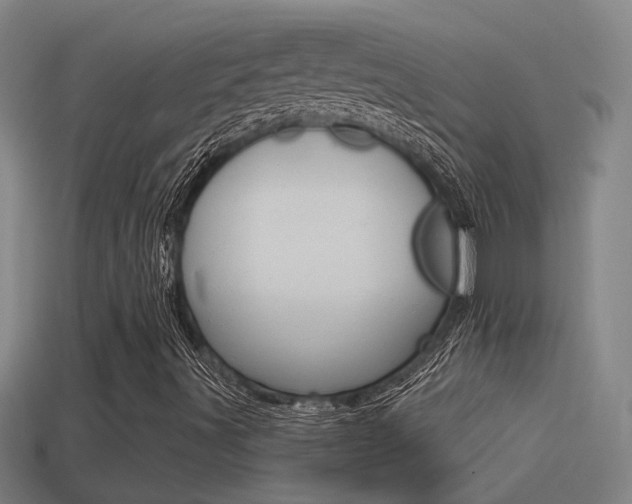 X0000114511491200910190918