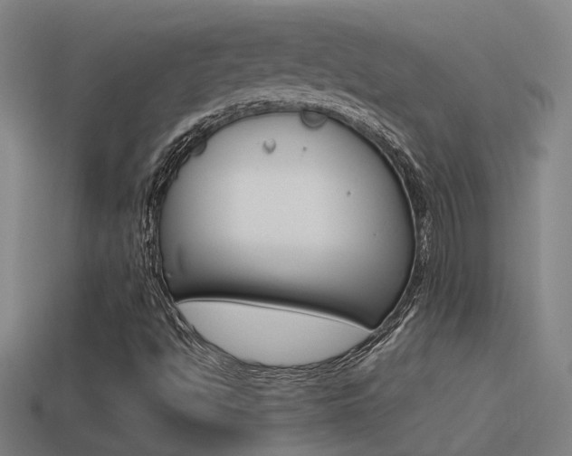 X0000114511494200910190918