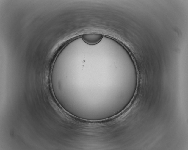 X0000114511499200910190918