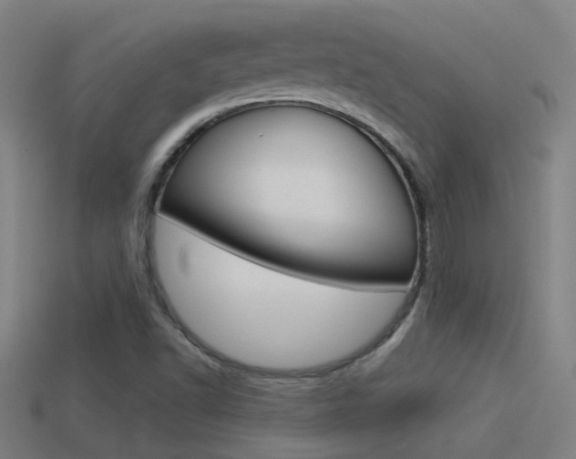 X0000114511502200910190918
