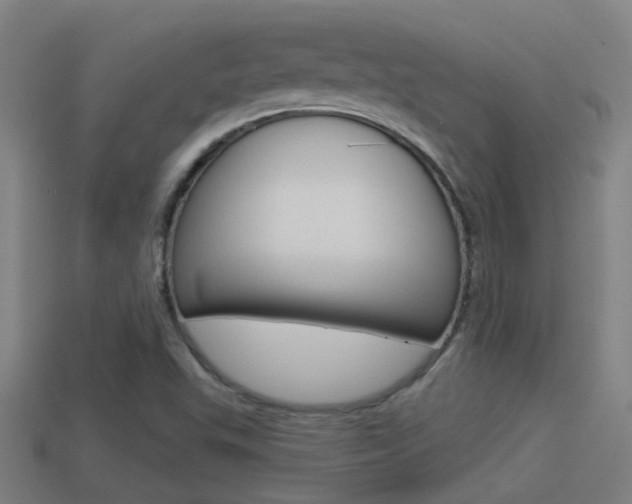 X0000114511503200910190918