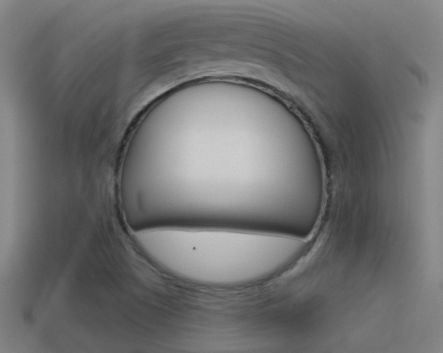 X0000114511505200910190918