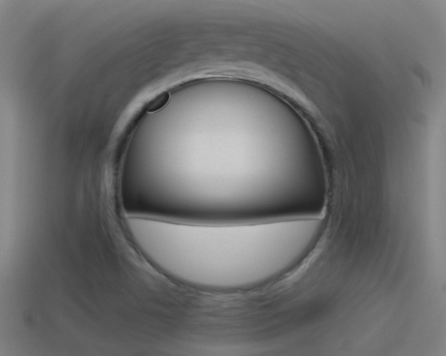 X0000114511506200910190918