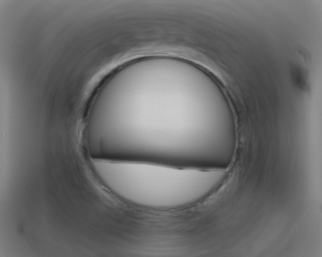 X0000114511507200910190918