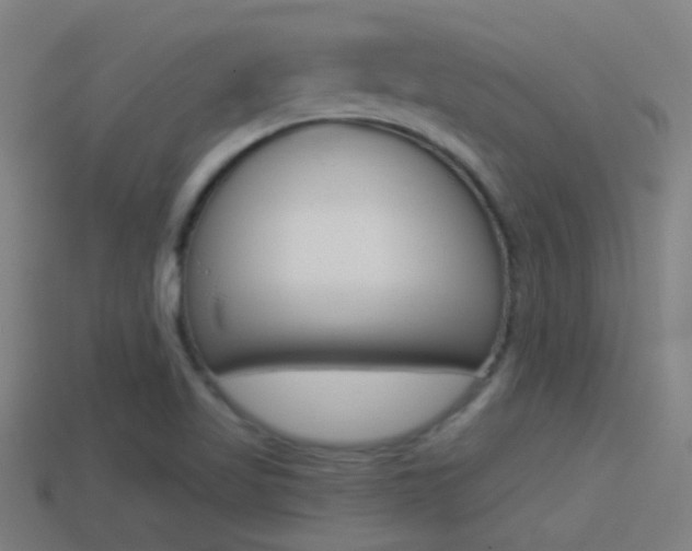 X0000114511509200910190918