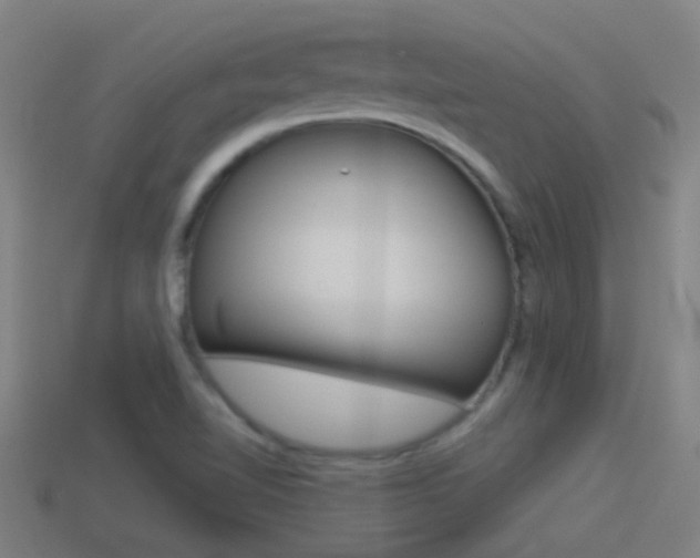 X0000114511510200910190918