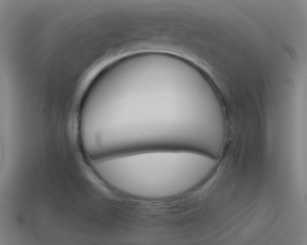 X0000114511511200910190918
