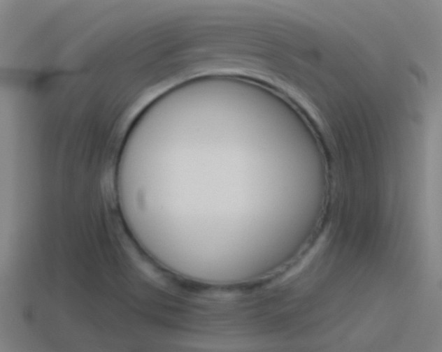 X0000114511513200910190918