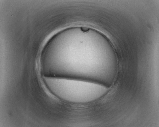 X0000114511515200910190918