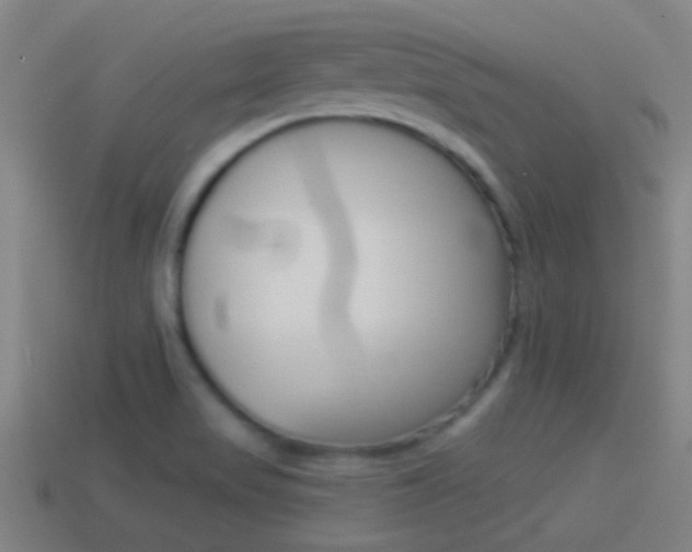 X0000114511517200910190918