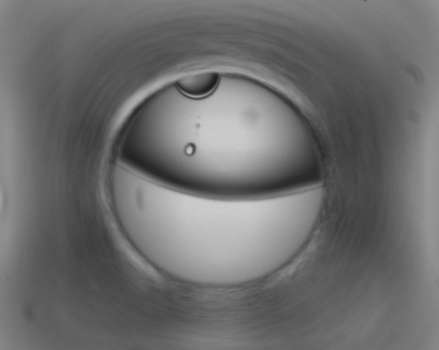 X0000114511518200910190919