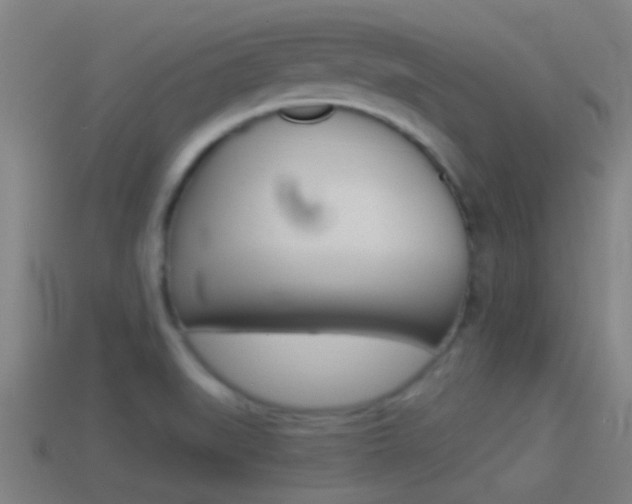 X0000114511519200910190919