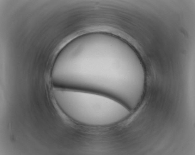 X0000114511521200910190919