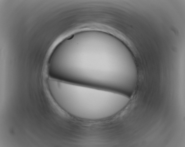 X0000114511522200910190919