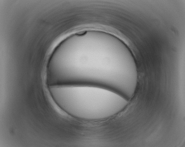 X0000114511523200910190919
