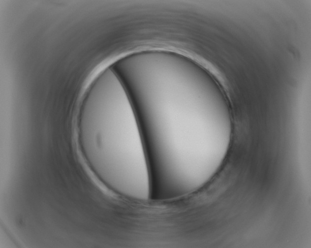 X0000114511525200910190919