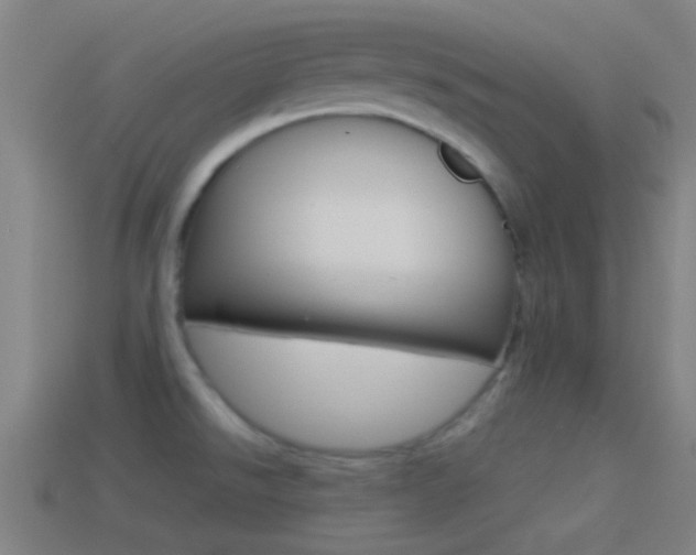 X0000114511526200910190919