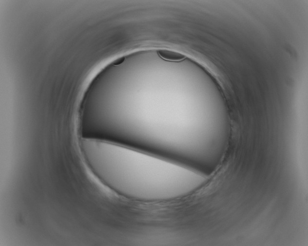 X0000114511527200910190919