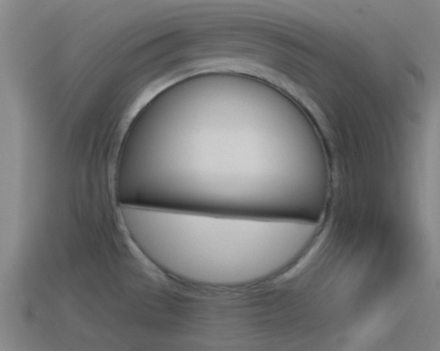 X0000114511529200910190919