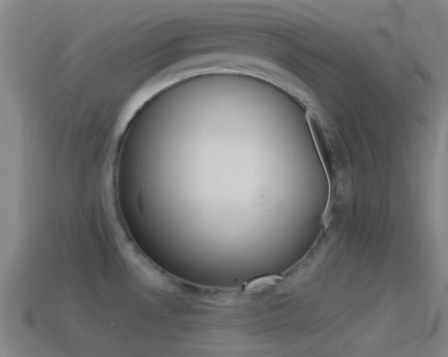X0000114511530200910190919