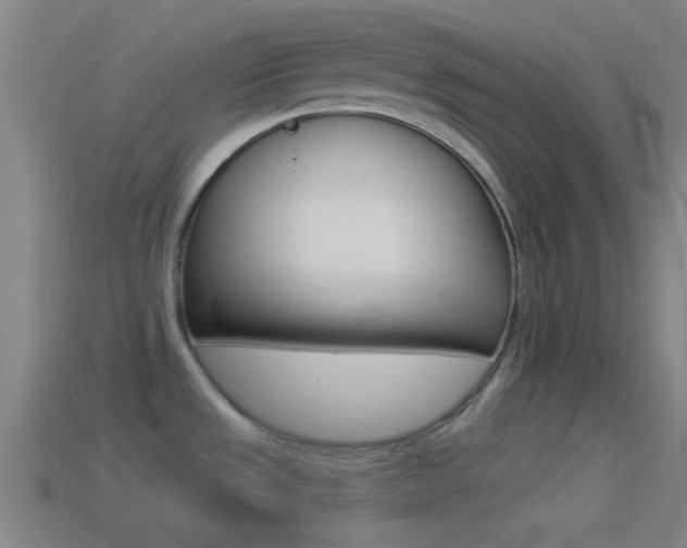 X0000114511533200910190919