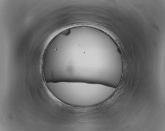 X0000114511535200910190919