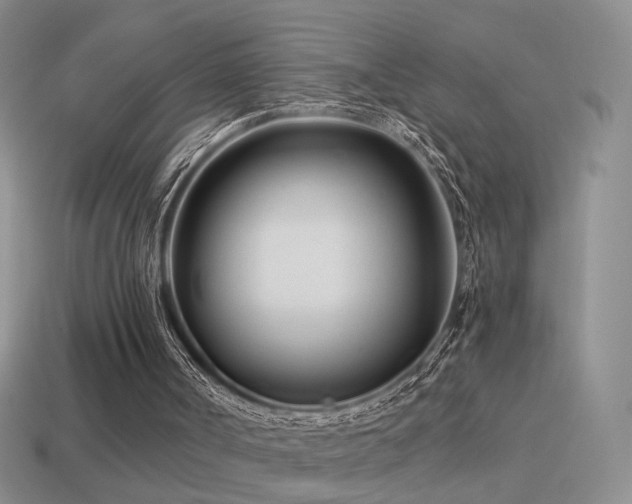 X0000114510002200910191143