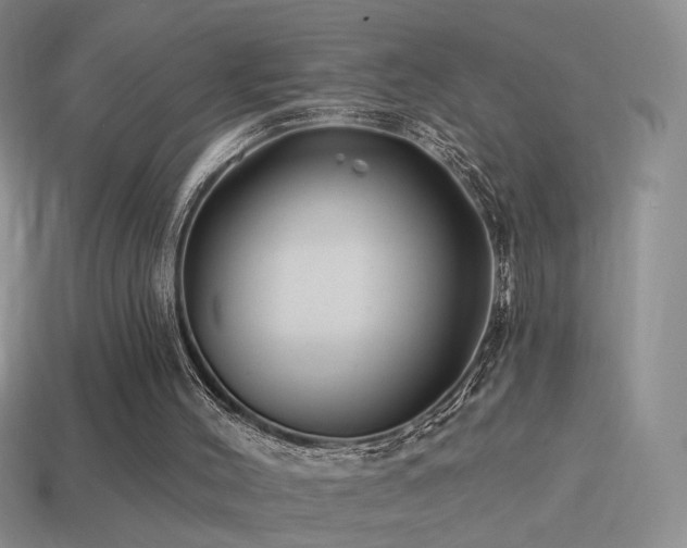 X0000114510004200910191143