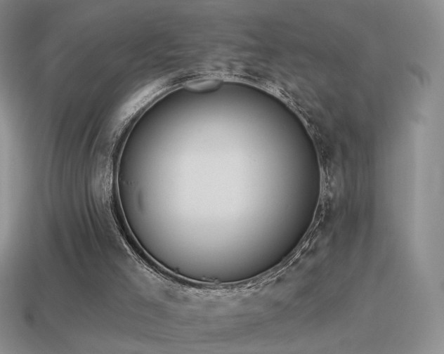 X0000114510005200910191143