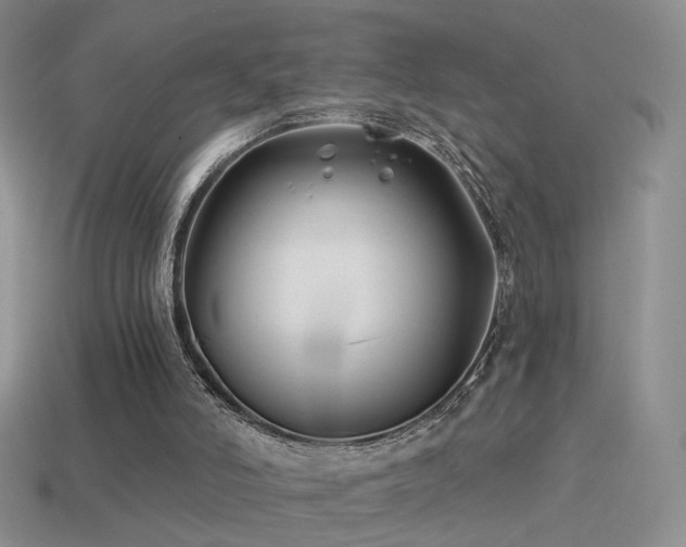 X0000114510006200910191143