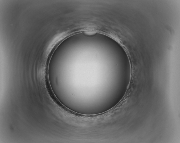 X0000114510007200910191143