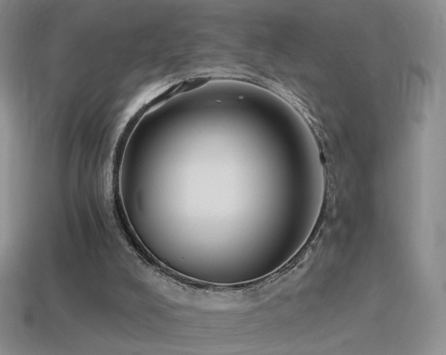 X0000114510008200910191143