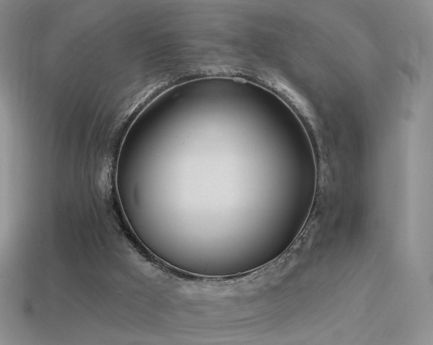 X0000114510009200910191143