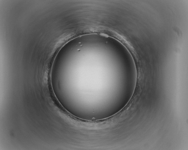 X0000114510010200910191143