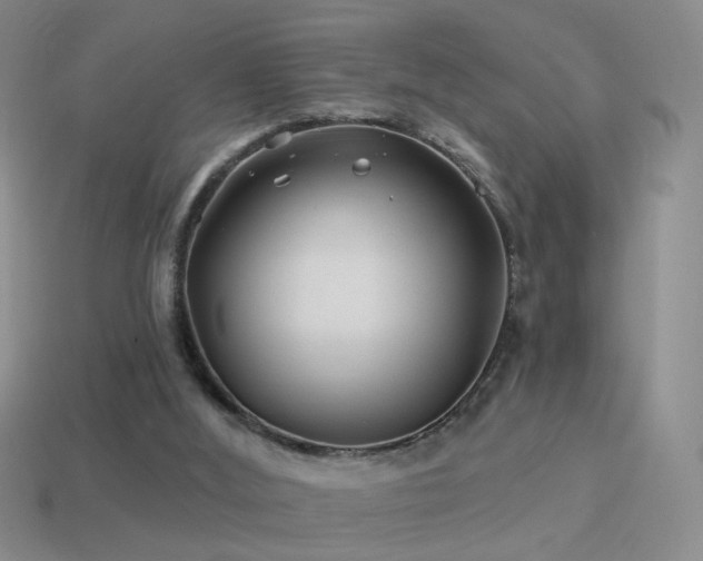 X0000114510012200910191143