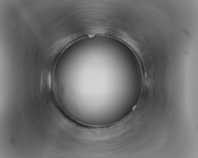 X0000114510013200910191143