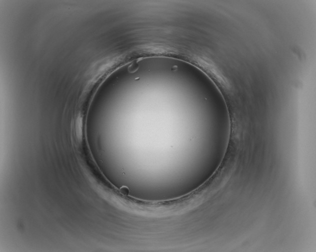 X0000114510014200910191143