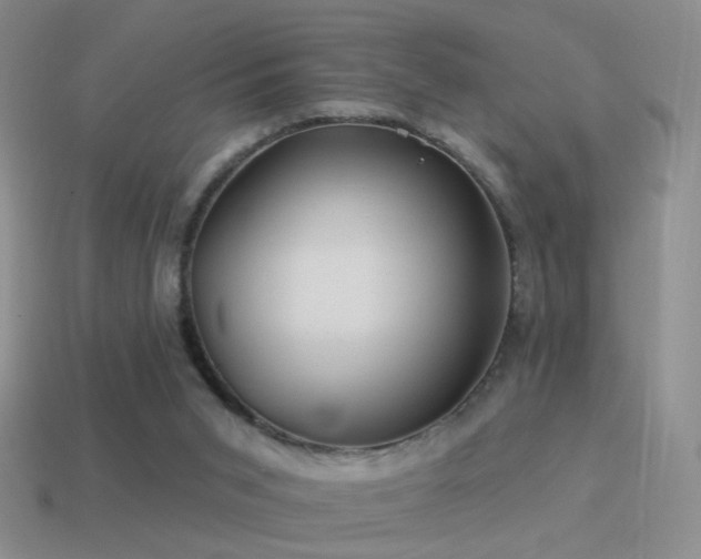 X0000114510015200910191143