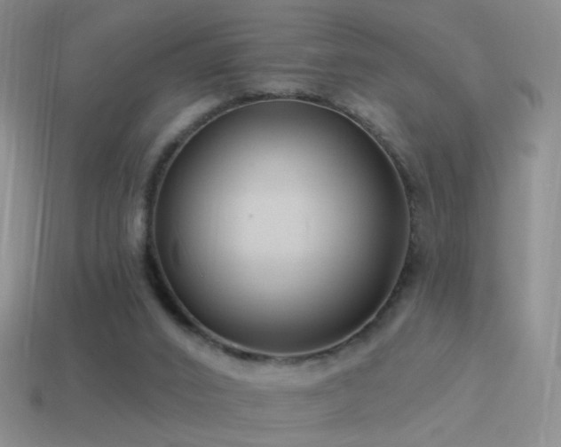 X0000114510016200910191143