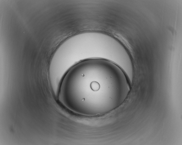 X0000114510017200910191143