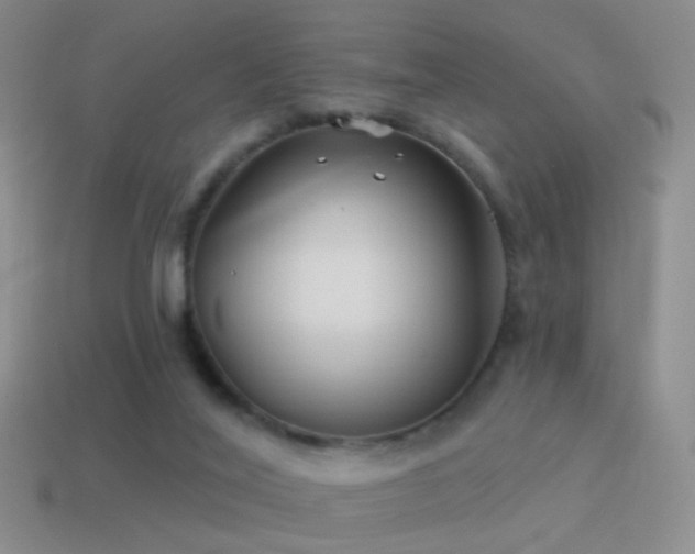 X0000114510020200910191143