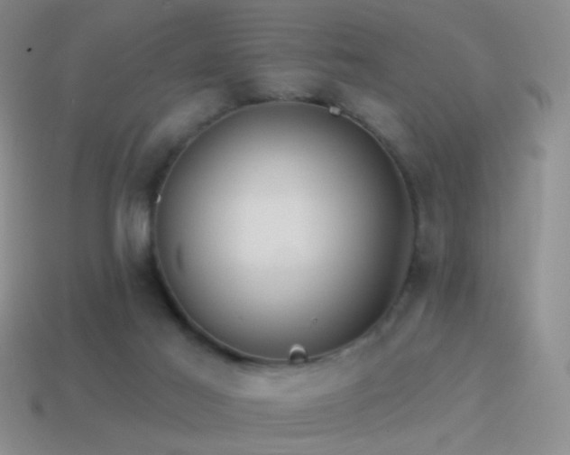 X0000114510021200910191143