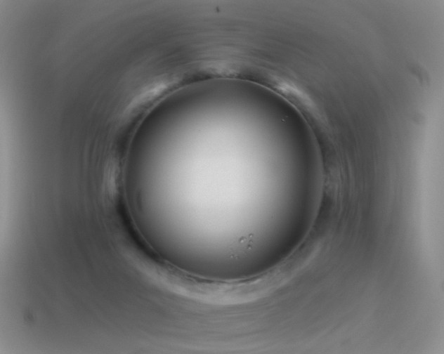 X0000114510023200910191143