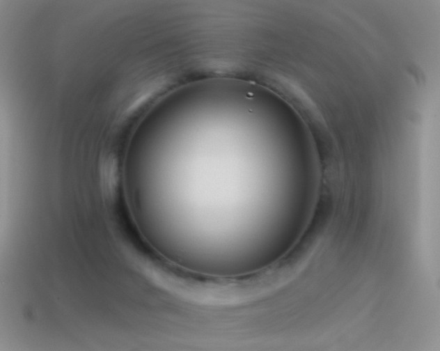 X0000114510024200910191143