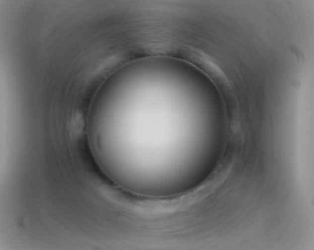 X0000114510025200910191143