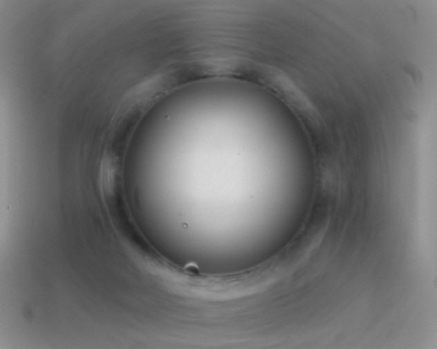 X0000114510026200910191143