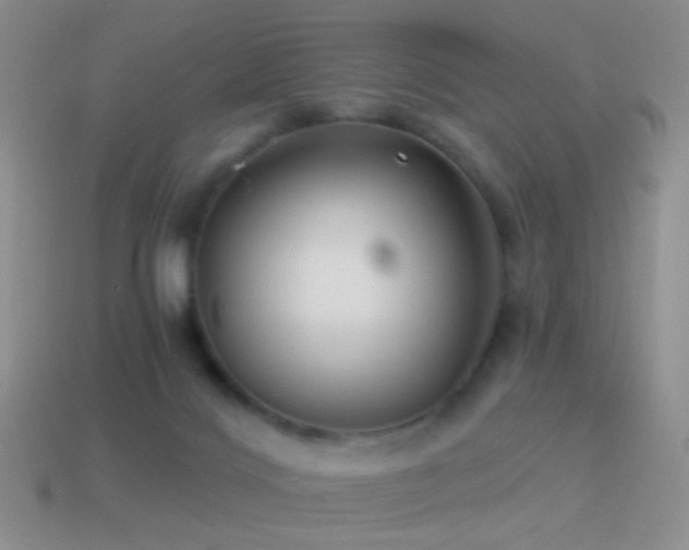 X0000114510028200910191143