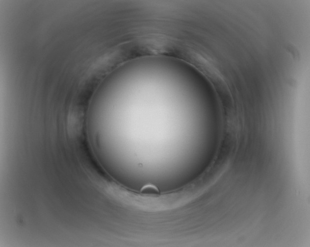 X0000114510030200910191143